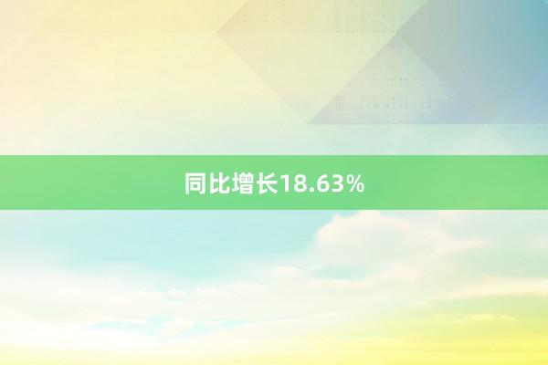 同比增长18.63%