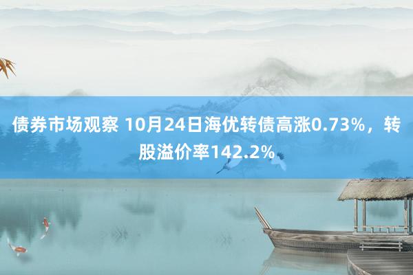 债券市场观察 10月24日海优转债高涨0.73%，转股溢价率142.2%