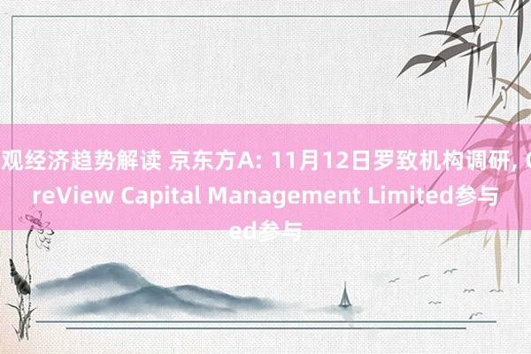 宏观经济趋势解读 京东方A: 11月12日罗致机构调研, CoreView Capital Management Limited参与