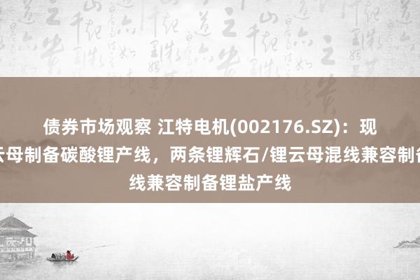 债券市场观察 江特电机(002176.SZ)：现存两条锂云母制备碳酸锂产线，两条锂辉石/锂云母混线兼容制备锂盐产线