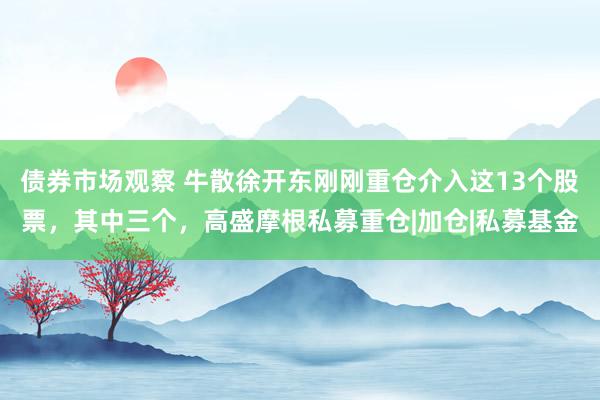 债券市场观察 牛散徐开东刚刚重仓介入这13个股票，其中三个，高盛摩根私募重仓|加仓|私募基金