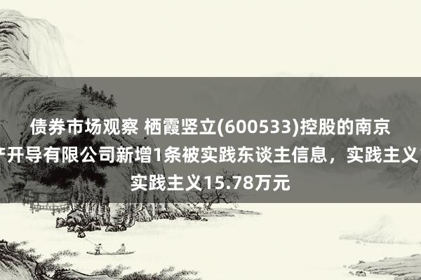 债券市场观察 栖霞竖立(600533)控股的南京星汇房地产开导有限公司新增1条被实践东谈主信息，实践主义15.78万元