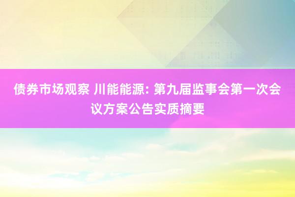 债券市场观察 川能能源: 第九届监事会第一次会议方案公告实质摘要