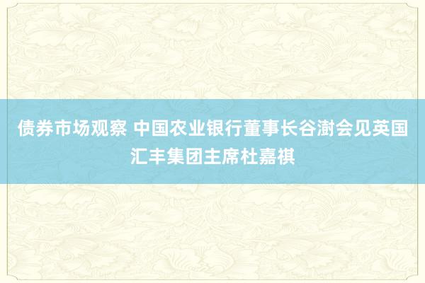 债券市场观察 中国农业银行董事长谷澍会见英国汇丰集团主席杜嘉祺