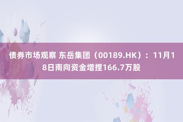 债券市场观察 东岳集团（00189.HK）：11月18日南向资金增捏166.7万股