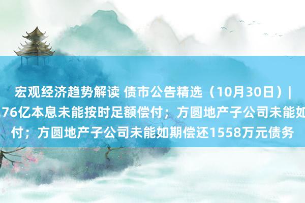 宏观经济趋势解读 债市公告精选（10月30日）| 阳光城两期中票共24.76亿本息未能按时足额偿付；方圆地产子公司未能如期偿还1558万元债务