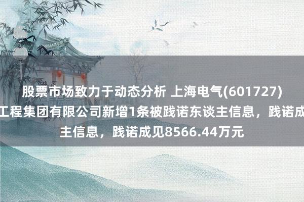 股票市场致力于动态分析 上海电气(601727)参股的中国动力工程集团有限公司新增1条被践诺东谈主信息，践诺成见8566.44万元