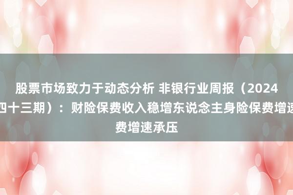 股票市场致力于动态分析 非银行业周报（2024年第四十三期）：财险保费收入稳增东说念主身险保费增速承压