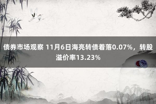 债券市场观察 11月6日海亮转债着落0.07%，转股溢价率13.23%