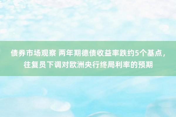 债券市场观察 两年期德债收益率跌约5个基点，往复员下调对欧洲央行终局利率的预期