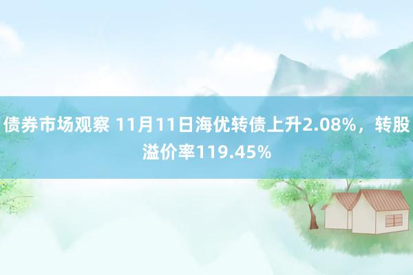 债券市场观察 11月11日海优转债上升2.08%，转股溢价率119.45%