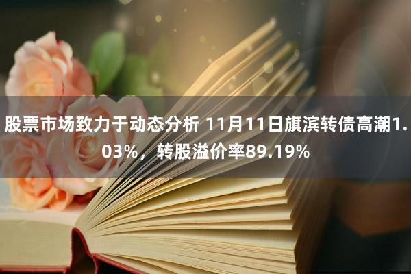 股票市场致力于动态分析 11月11日旗滨转债高潮1.03%，转股溢价率89.19%