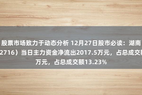 股票市场致力于动态分析 12月27日股市必读：湖南白银（002716）当日主力资金净流出2017.5万元，占总成交额13.23%