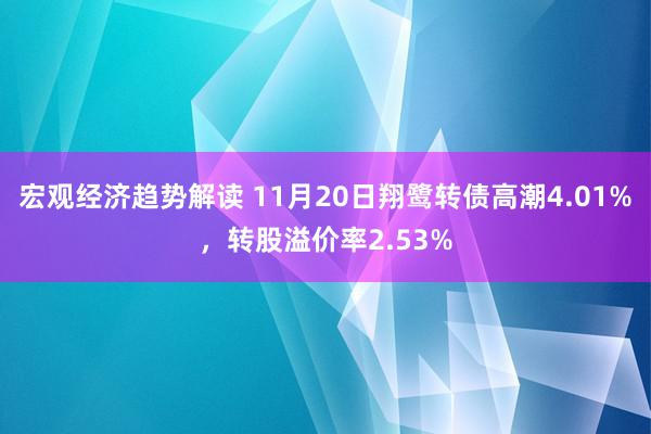 宏观经济趋势解读 11月20日翔鹭转债高潮4.01%，转股溢价率2.53%