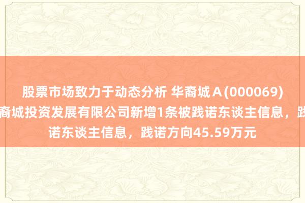 股票市场致力于动态分析 华裔城Ａ(000069)控股的宁波滨海华裔城投资发展有限公司新增1条被践诺东谈主信息，践诺方向45.59万元