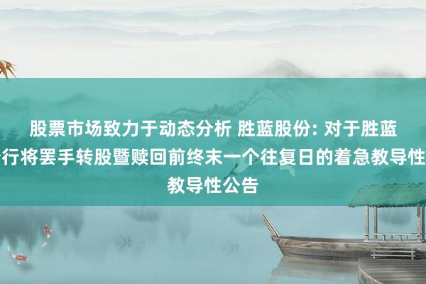 股票市场致力于动态分析 胜蓝股份: 对于胜蓝转债行将罢手转股暨赎回前终末一个往复日的着急教导性公告