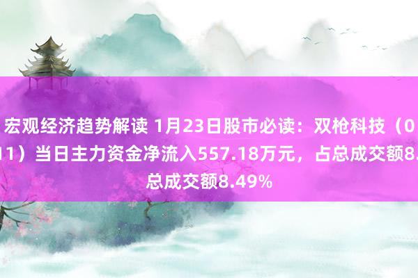 宏观经济趋势解读 1月23日股市必读：双枪科技（001211）当日主力资金净流入557.18万元，占总成交额8.49%