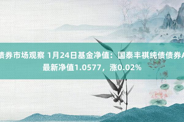 债券市场观察 1月24日基金净值：国泰丰祺纯债债券A最新净值1.0577，涨0.02%