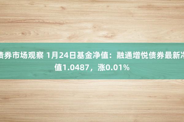 债券市场观察 1月24日基金净值：融通增悦债券最新净值1.0487，涨0.01%