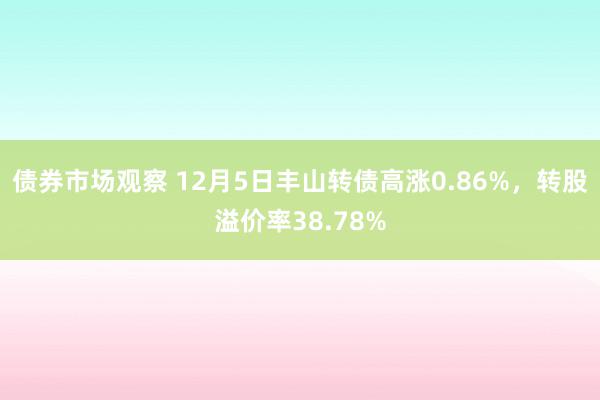 债券市场观察 12月5日丰山转债高涨0.86%，转股溢价率38.78%