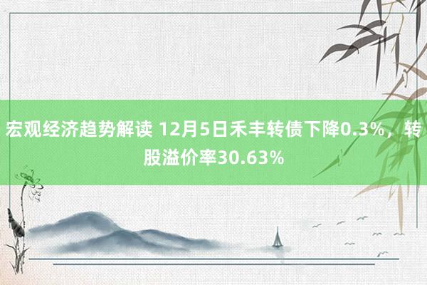 宏观经济趋势解读 12月5日禾丰转债下降0.3%，转股溢价率30.63%