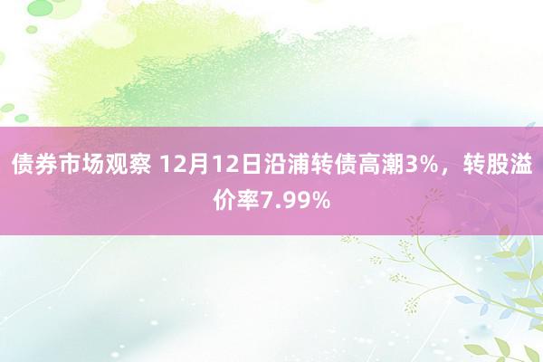 债券市场观察 12月12日沿浦转债高潮3%，转股溢价率7.99%