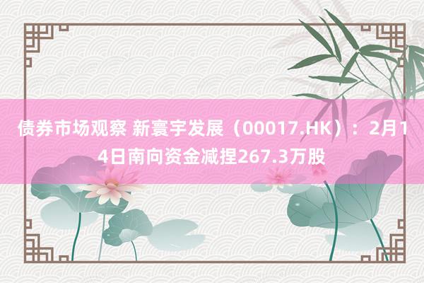 债券市场观察 新寰宇发展（00017.HK）：2月14日南向资金减捏267.3万股