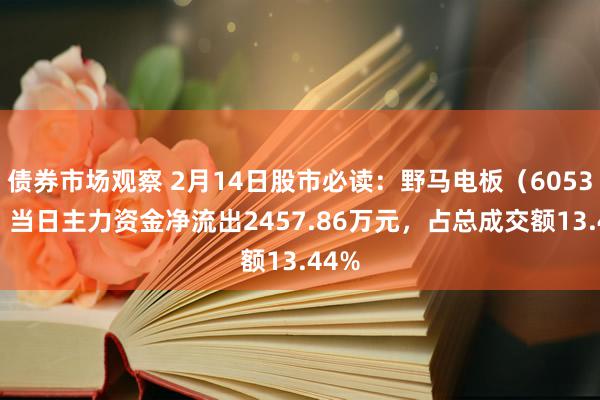 债券市场观察 2月14日股市必读：野马电板（605378）当日主力资金净流出2457.86万元，占总成交额13.44%