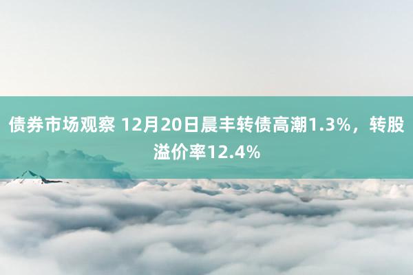 债券市场观察 12月20日晨丰转债高潮1.3%，转股溢价率12.4%