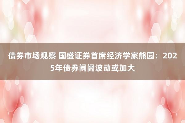 债券市场观察 国盛证券首席经济学家熊园：2025年债券阛阓波动或加大