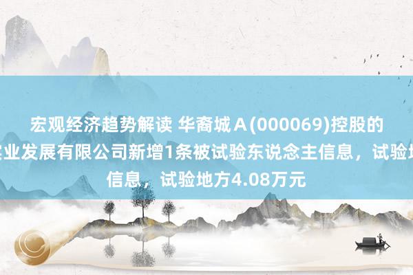 宏观经济趋势解读 华裔城Ａ(000069)控股的南京华裔城实业发展有限公司新增1条被试验东说念主信息，试验地方4.08万元