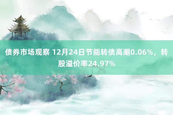 债券市场观察 12月24日节能转债高潮0.06%，转股溢价率24.97%