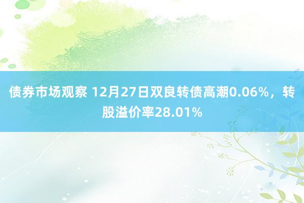 债券市场观察 12月27日双良转债高潮0.06%，转股溢价率28.01%