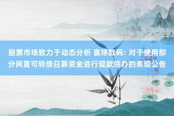 股票市场致力于动态分析 寰球数码: 对于使用部分闲置可转债召募资金进行现款惩办的表现公告