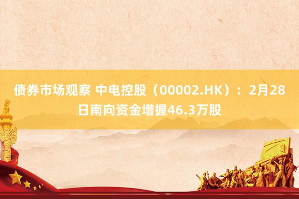 债券市场观察 中电控股（00002.HK）：2月28日南向资金增握46.3万股