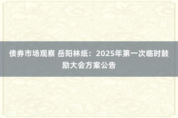 债券市场观察 岳阳林纸：2025年第一次临时鼓励大会方案公告