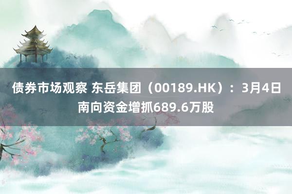 债券市场观察 东岳集团（00189.HK）：3月4日南向资金增抓689.6万股