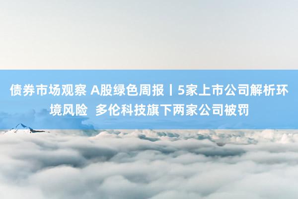 债券市场观察 A股绿色周报丨5家上市公司解析环境风险  多伦科技旗下两家公司被罚